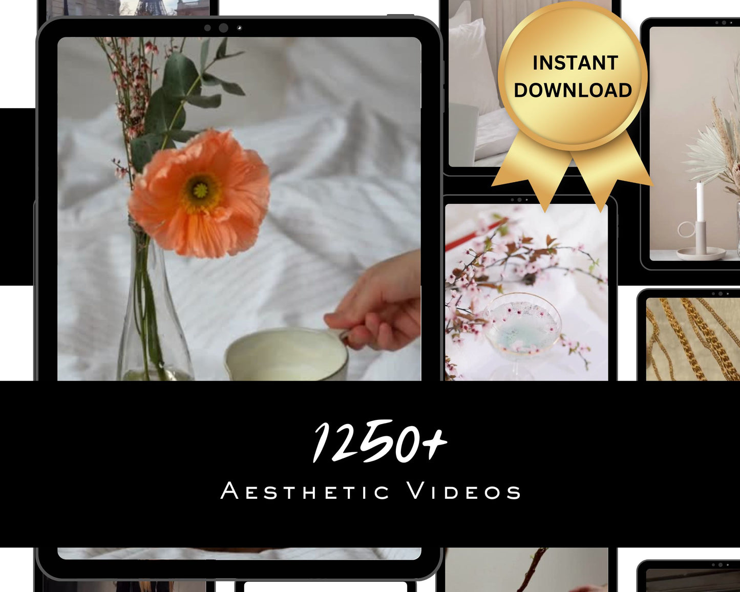 1250+ AESTHETIC Stock Videos Reels Bundle Instagram Posts Done for You Master Resell Rights MRR PLR Content Creator Bank