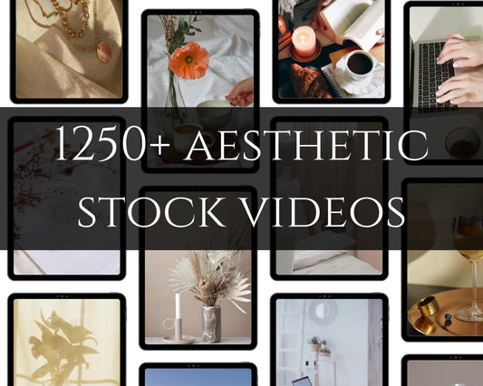 1250+ AESTHETIC Stock Videos Reels Bundle Instagram Posts Done for You Master Resell Rights MRR PLR Content Creator Bank