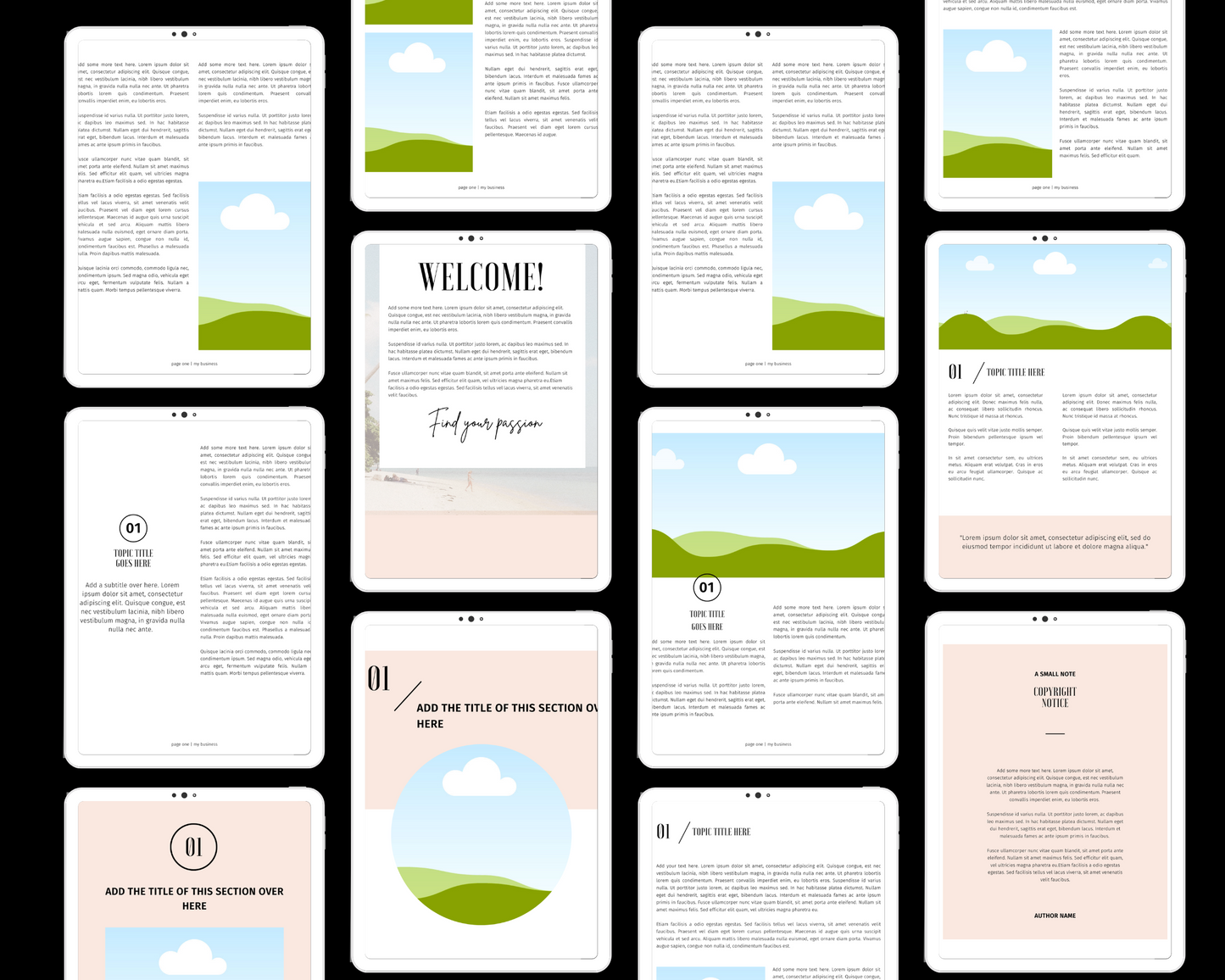 50-Page eBook Template with Private Label Rights PLR & Master Resell Rights MRR eBook Template Editable Resell eBook For Passive Profit